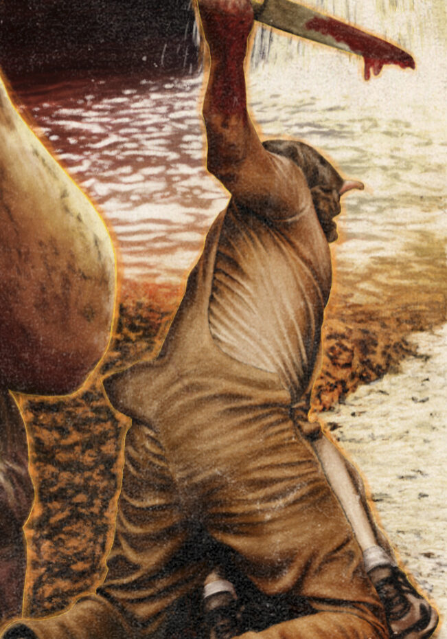 MadisonCount 30